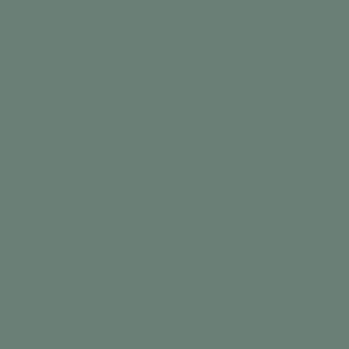 P49-50D