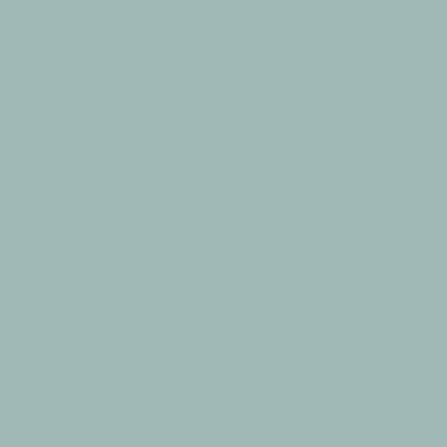 P55-70D