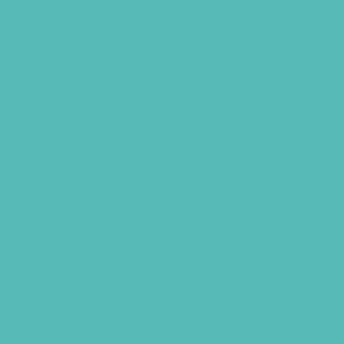 P55-70P